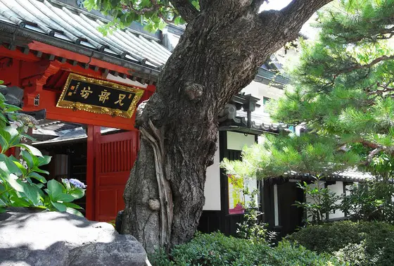 宿坊も立派