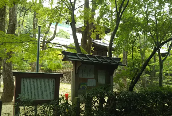 徳光菩薩