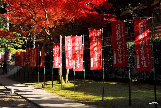 醍醐寺観音堂の紅葉