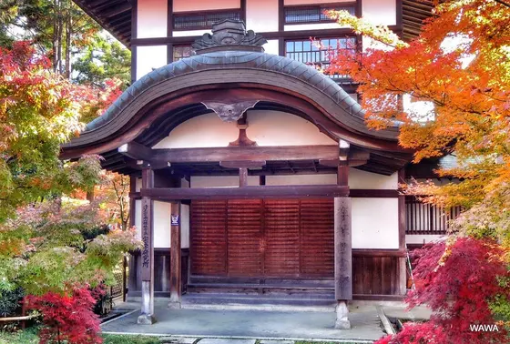 禅林寺図書館
