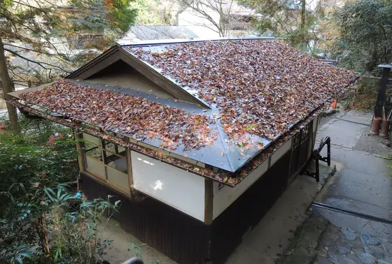 貴船側から鞍馬山への登山口