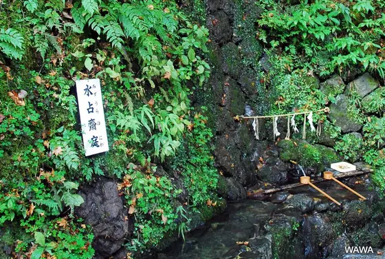 貴船神社の水占い