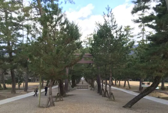参道②