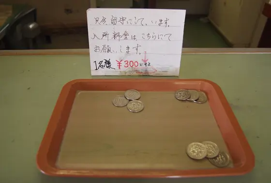 入所料金　300円