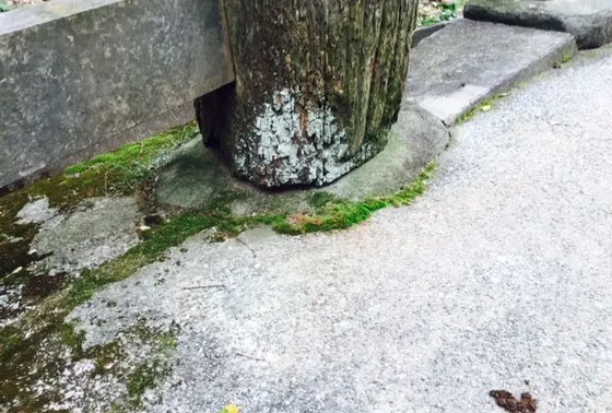 両部鳥居