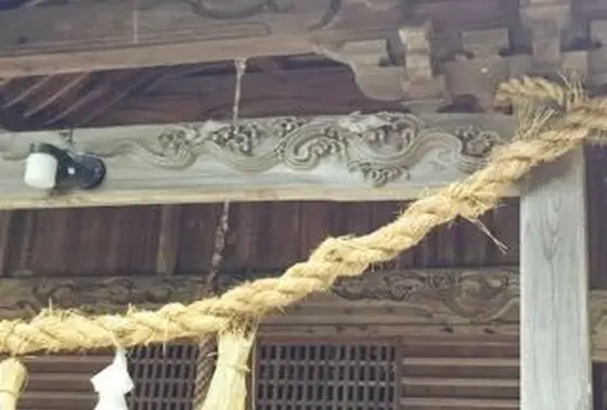 うさぎ