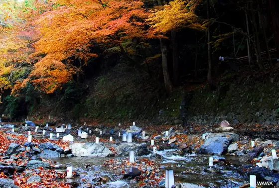 貴船川