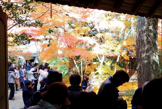 現実の蓮華寺