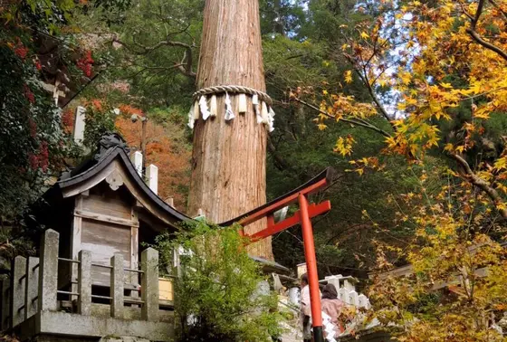 由岐神社（鞍馬寺）