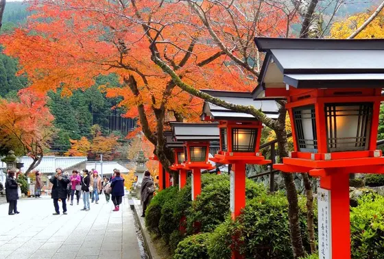 鞍馬寺の参道