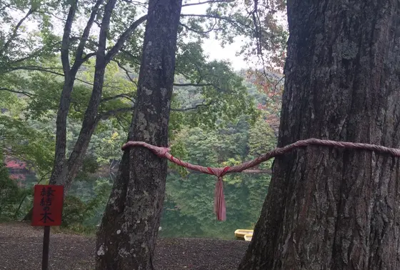 長老湖