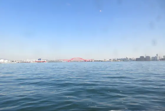 ナイトクルーズ