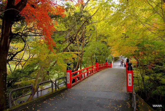 鳥居橋 今熊野観音寺