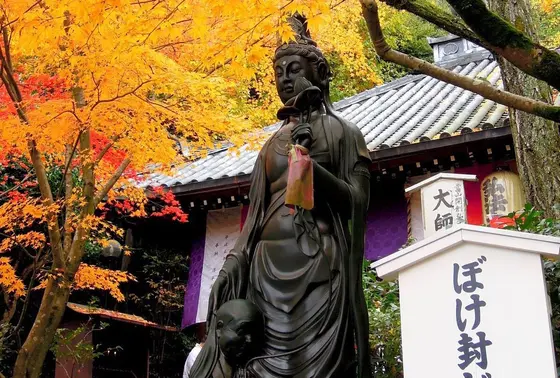 ぼけ封じ観音 今熊野観音寺