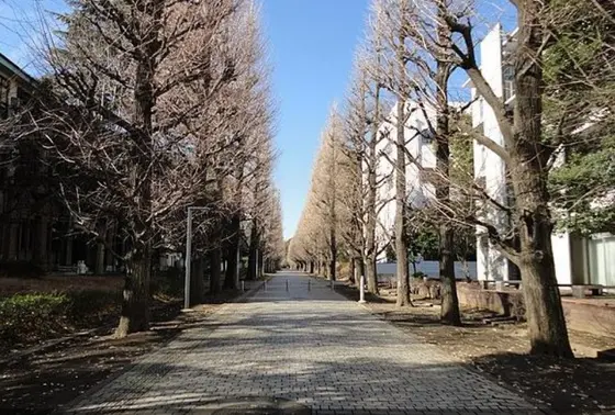 キャンパス内②