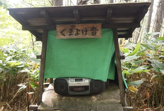 くまよけの音
