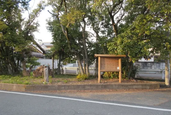 中学１年生から高校１年生まで