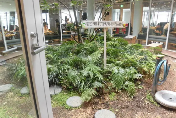 梅田ミツバチプロジェクト茶屋町養蜂場