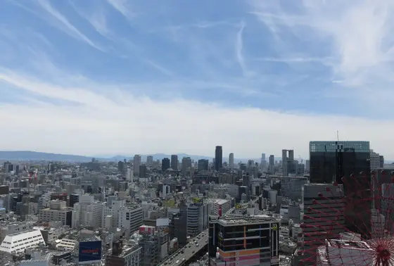 ２１階からの眺望