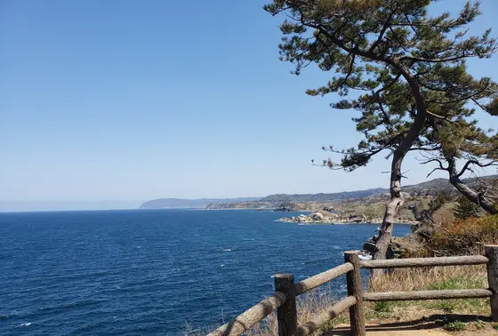 景色綺麗