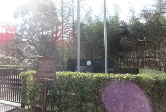 最高の竹