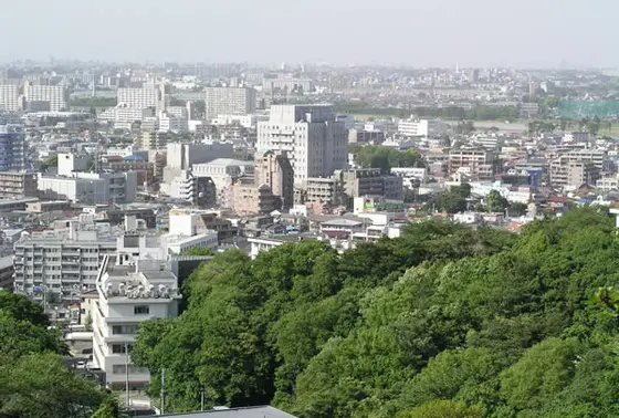 生田緑地公園の森を登っていくと展望台が！