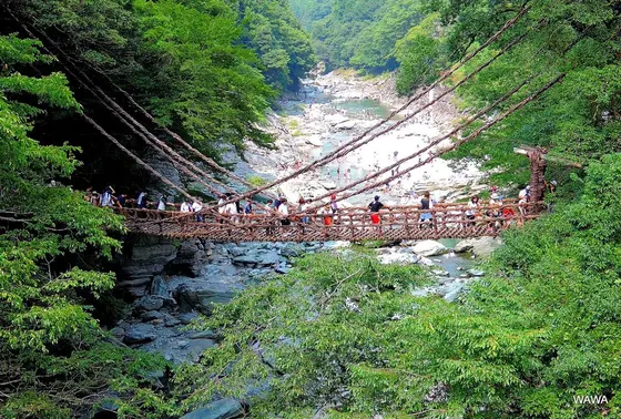 祖谷のかずら橋