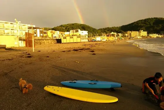 犬も歩けば