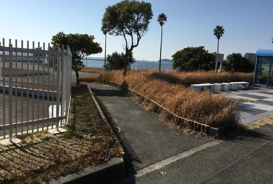 こちらは自然のビーチが中心です。