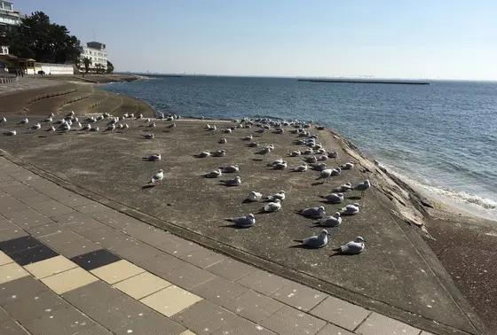 若宮公園側の入り口付近。