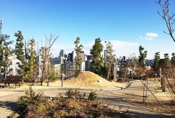 高層ビル群×庭園