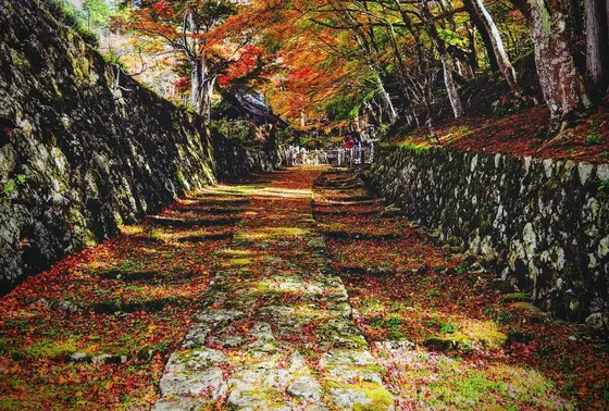 湖東三山