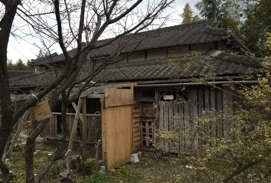迷いながら、、、
