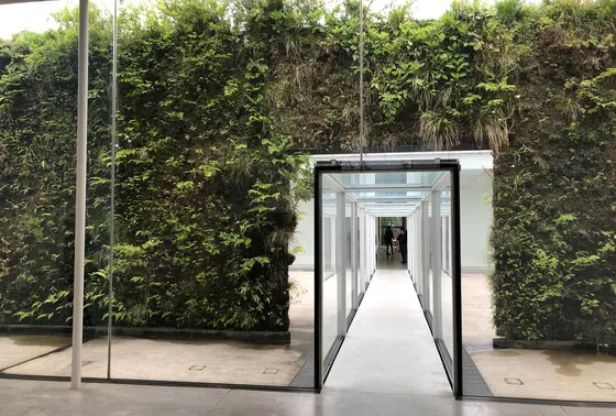 パトリック・ブラン 緑の橋 2004