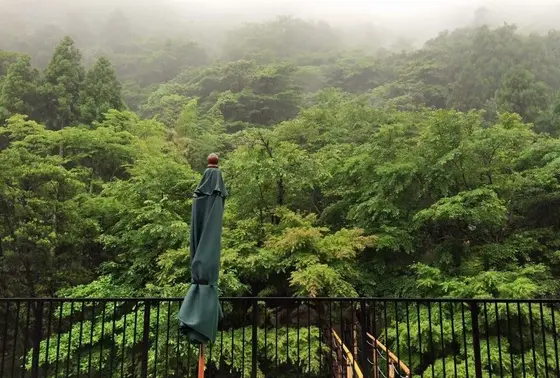 梅雨時期も素敵