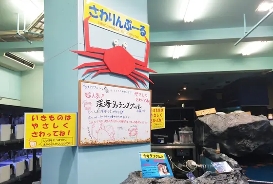 さわりんぷーる