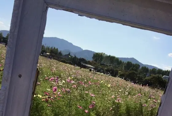 カメラを片手に！