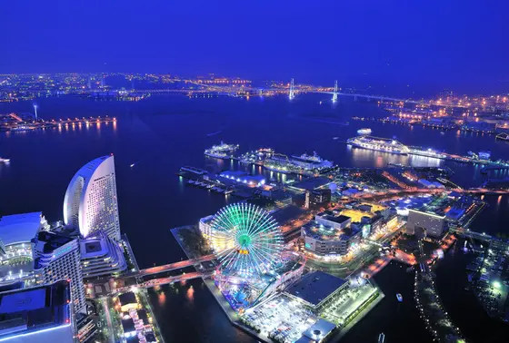 展望台からの景色