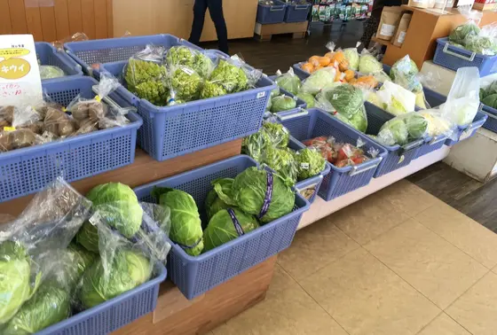 野菜も有ります
