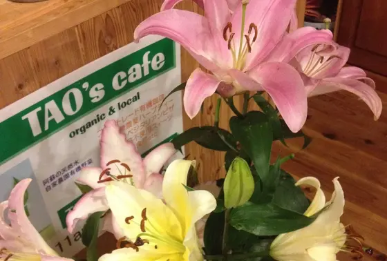 庭のお花たち