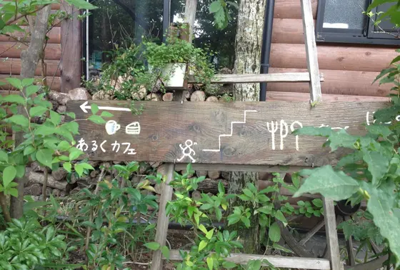 緑の道を通り抜け、、、