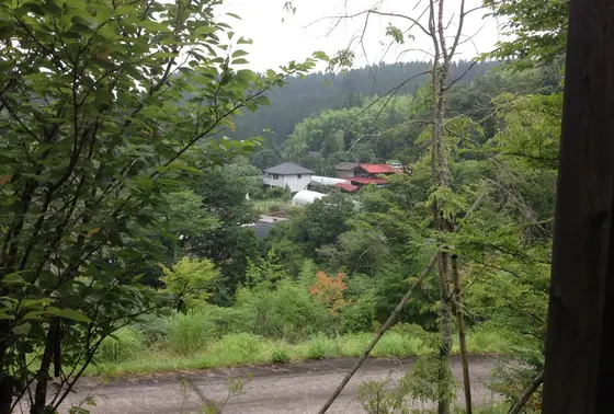 マイナスイオン^ ^