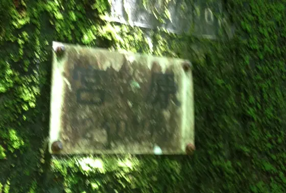 蔦が良いね〜〜