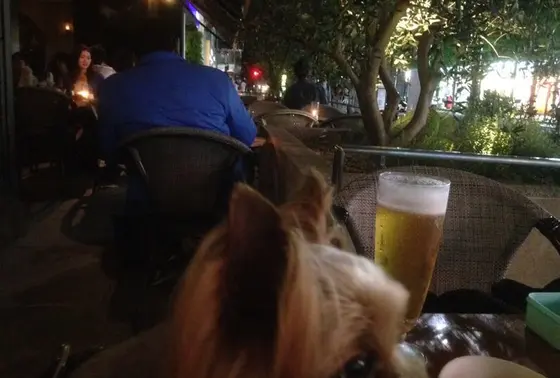 夜のテラス席