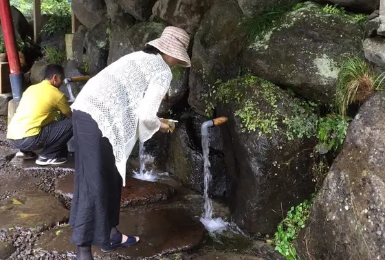 豊かです