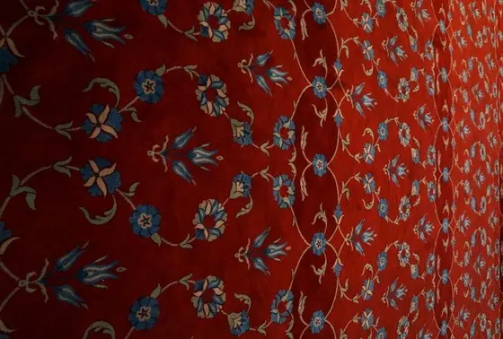 トルコ国花のチューリップ