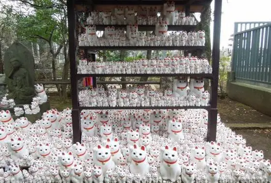 招猫伝説