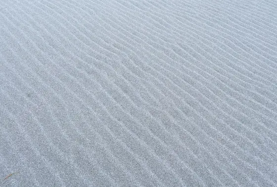 風紋