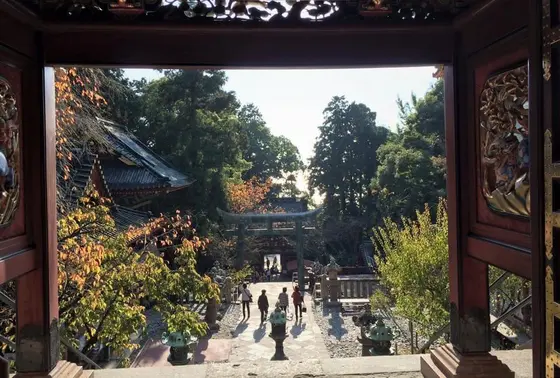 登っては振り返る