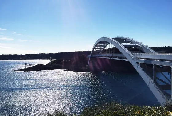 大島